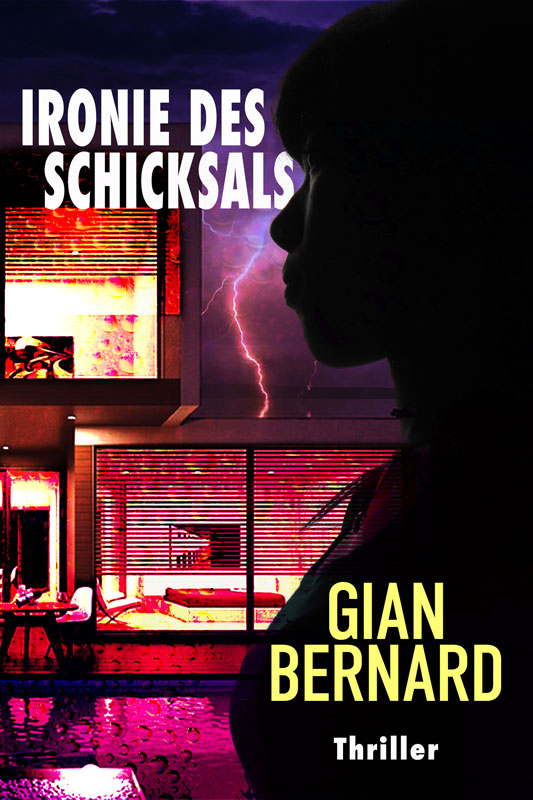 Cover Ironie des Schicksals